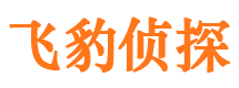 蓝田飞豹私家侦探公司